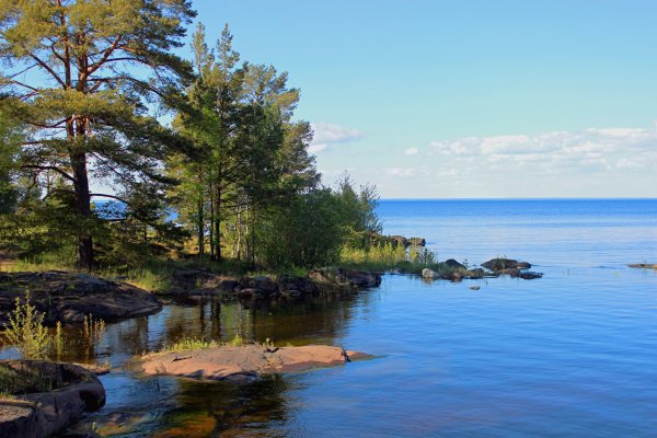 Флора Валаама