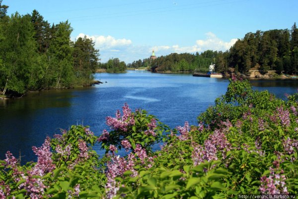 Флора Валаама