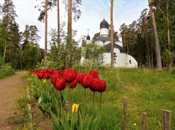 Монастырские сады Валаама
