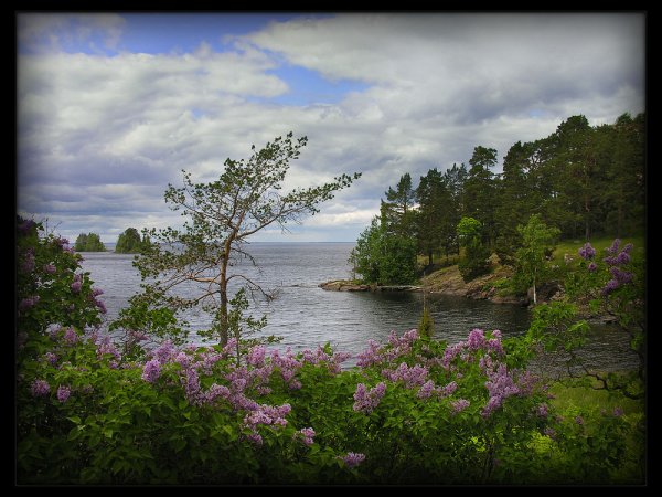 Остров Валаам рассвет