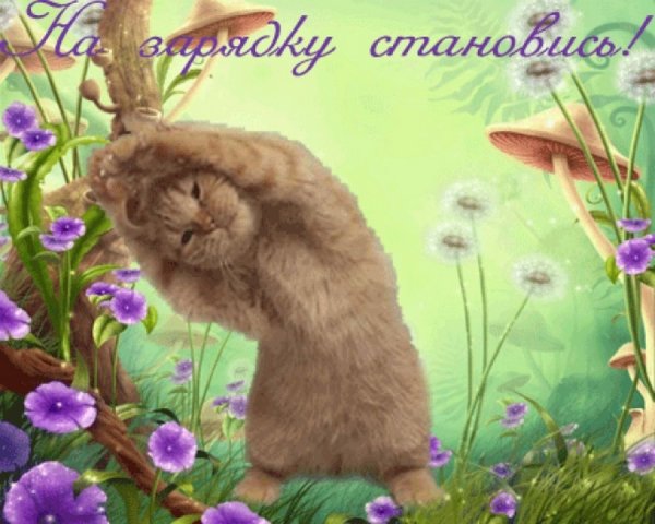 Открытки на зарядку становись