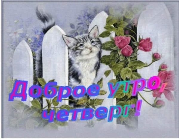 До рого тепдого весеннего дня