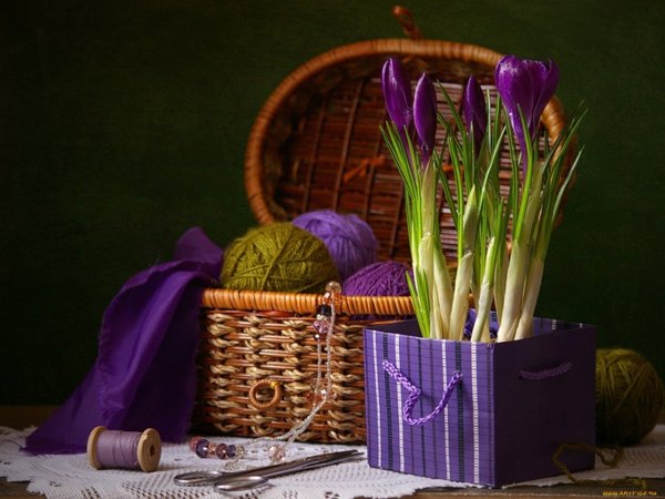 Крокусы натюрморт