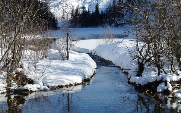 Весна ручьи
