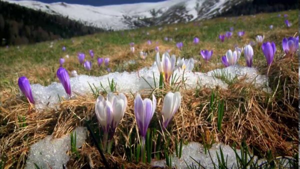 Антонио Вивальди осень