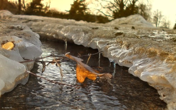 Весенние ручьи в городе