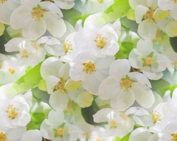 Бесшовный фон Весна