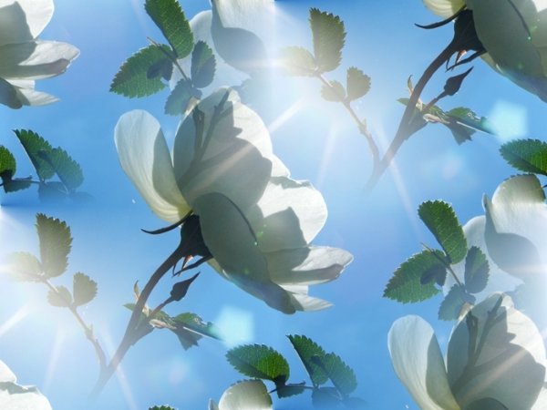 Красивый весенний фон