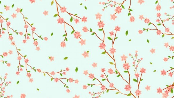 Нежные цветы Сакуры