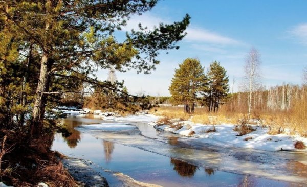 Весна природа пробуждается