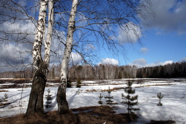 Весна пора пробуждения природы
