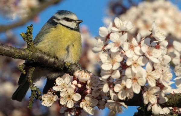 Пробуждение после зимы