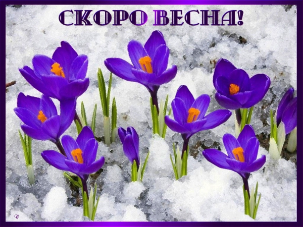 Февраль скоро Весна