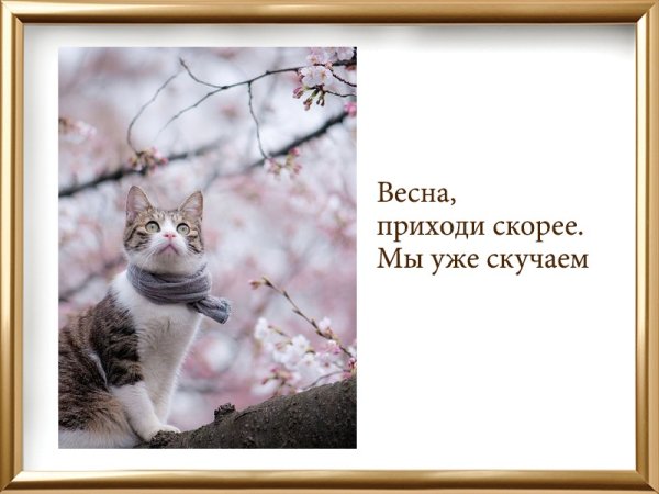 Весна приходи скорее