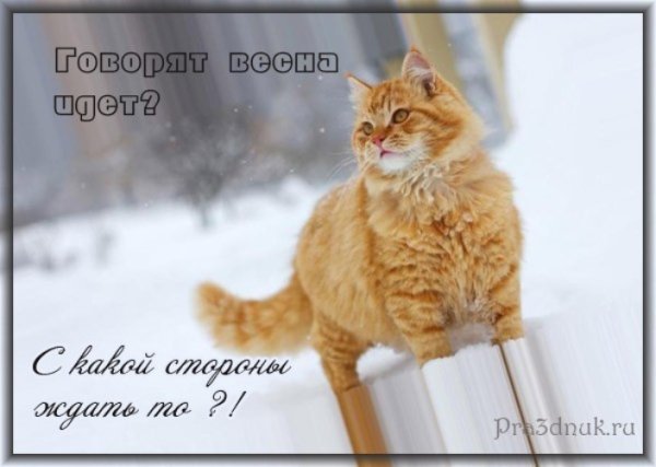 Весна уже скоро