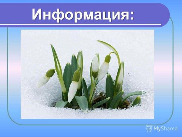 Весенние мотиваторы