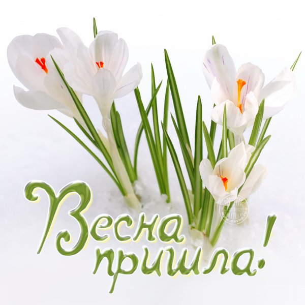 Ранняя Весна настроение