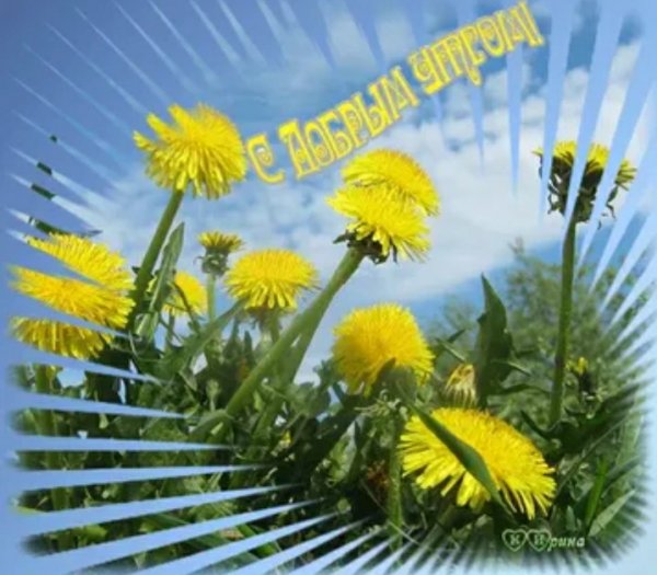 Открытки спасибо весенние