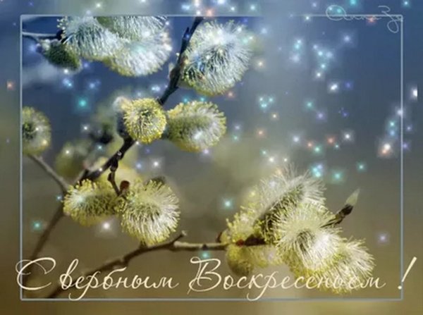 С Вербным воскресеньем гиф