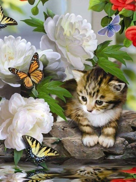 Мерцающие открытки с котятами