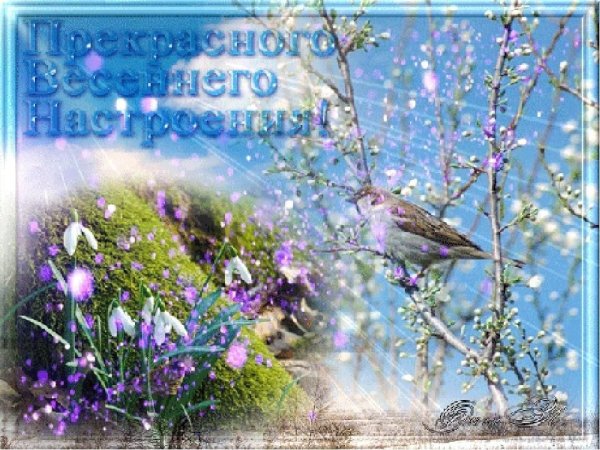 Чудесного весеннего дня