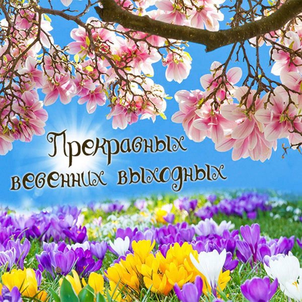Отличных выходных Весна