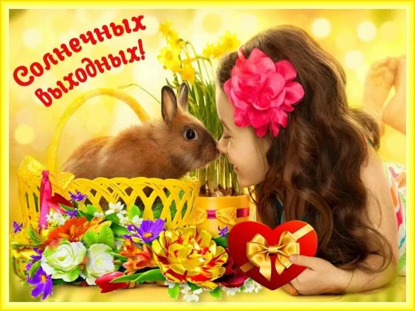 Открытки прекрасных выходных летние