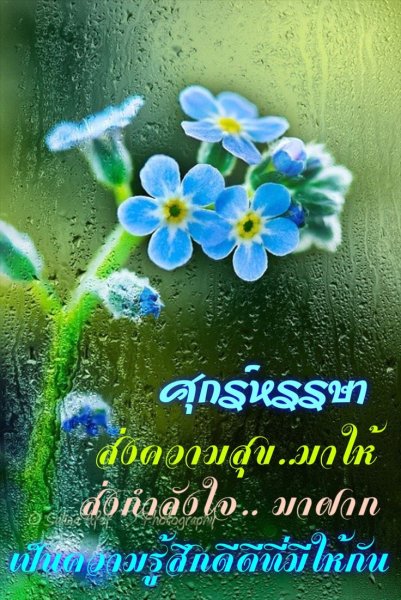 Капли воды в душе