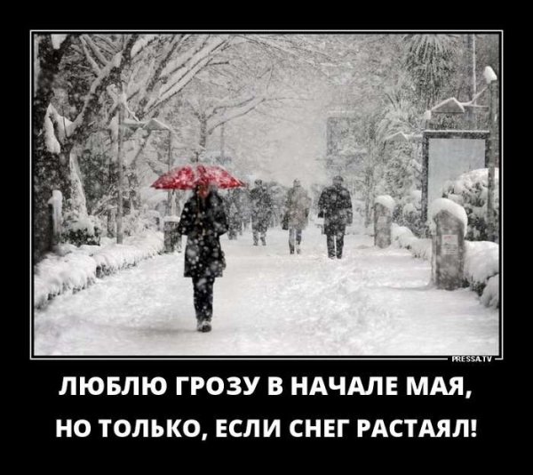 Приколы о снежной весне