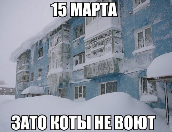 Холодная Весна приколы