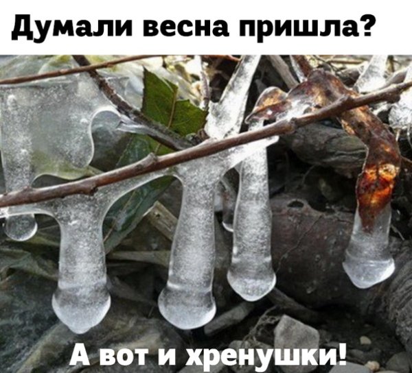 Картинка вы думали Весна пришла, херушки