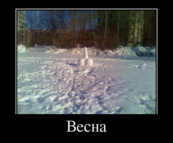Первый день весны прикол