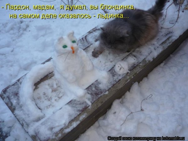 Весна холод юмор