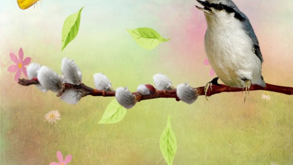 Приход весны детям