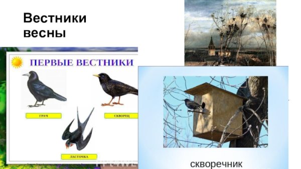 Первые вестники весны