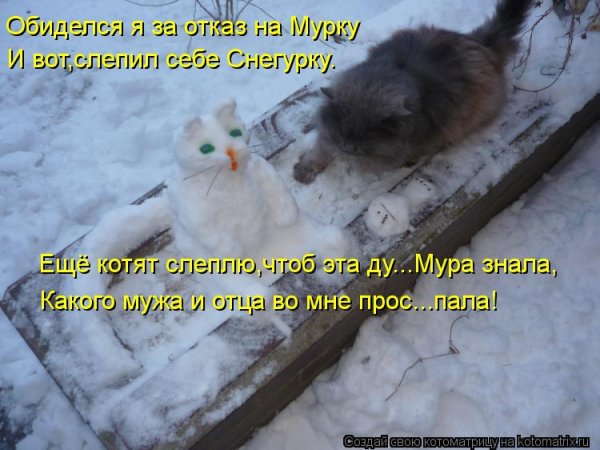 Зимние котики с надписями