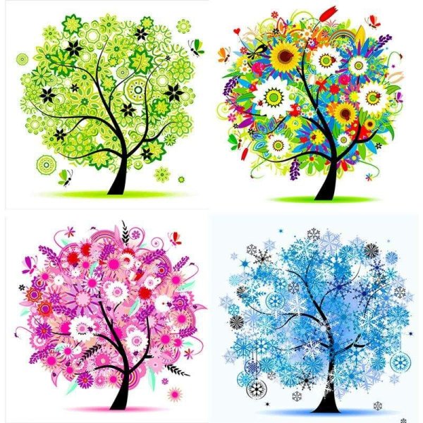 Дерево зимой летом осенью и весной