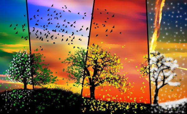 Лето осень зима Весна гиф