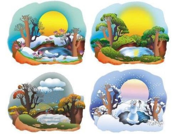 Дерево зима Весна лето осень