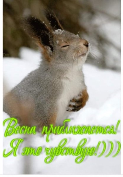 Чувствуется приближение весны