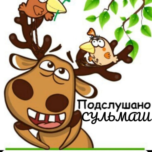 Подслушано Весна