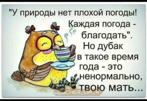 У природы нет плохой погоды гифка