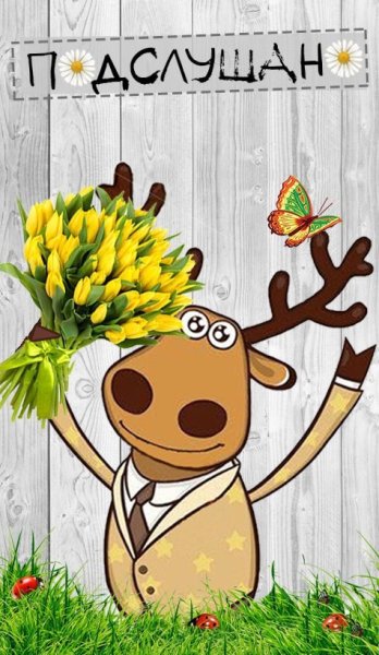 Подслушано обложка