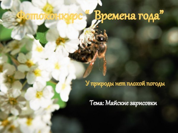 Хорошего настроения в дождливую погоду