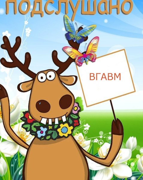 Подслушано суна