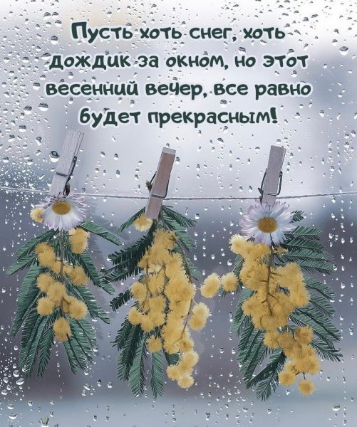 У природы нет хлохой породы