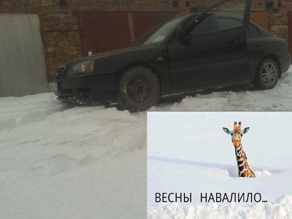 Ешьте снег помогай весне
