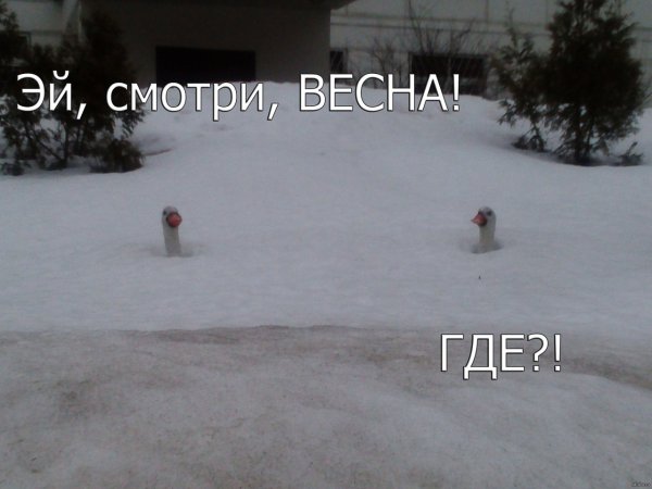 Весна потерялась