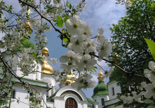 Красивый вид на храм весной