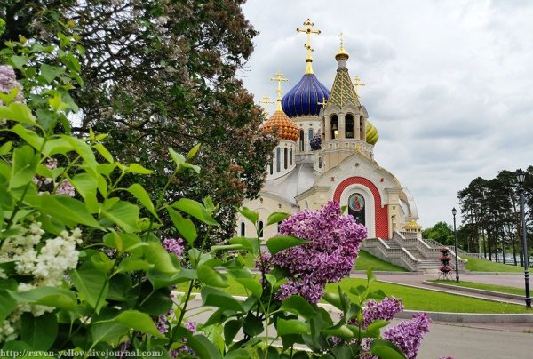 Дивеево монастырь цветы